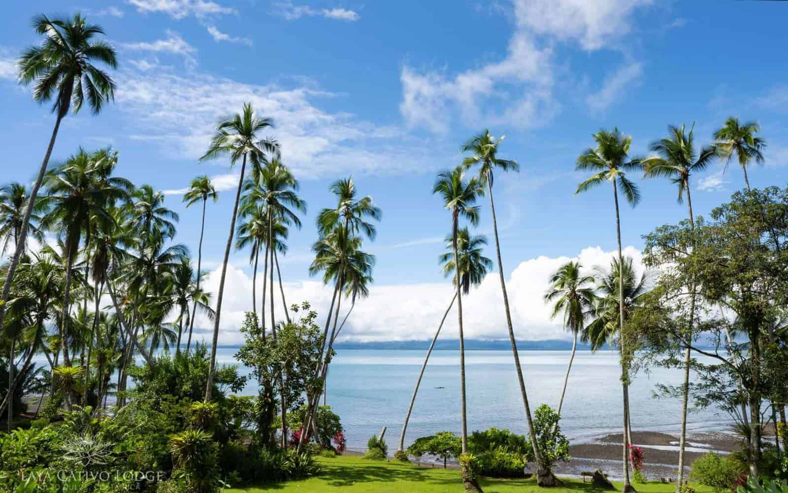 Playa Cativo Lodge