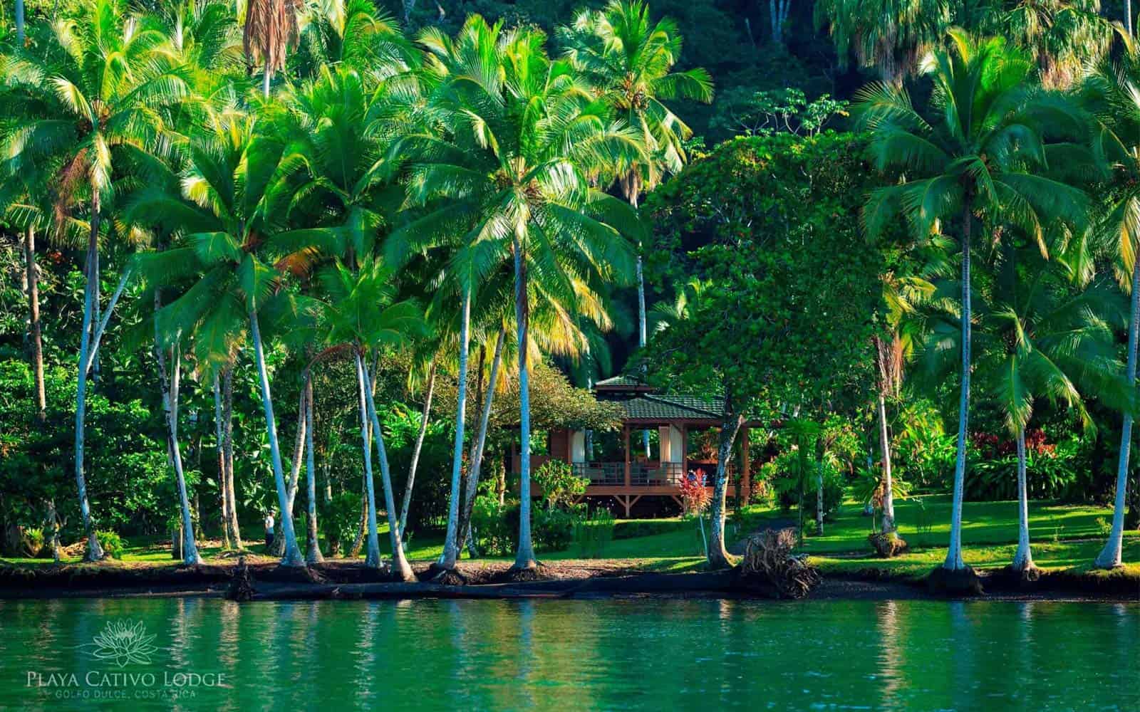 Playa Cativo Lodge