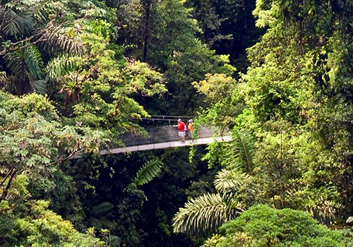 Arenal Hanging Bridges