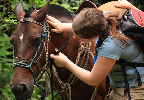 Bijagua Horseback Riding