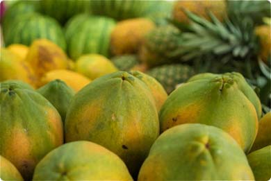 Costa Rica Farmer's Market