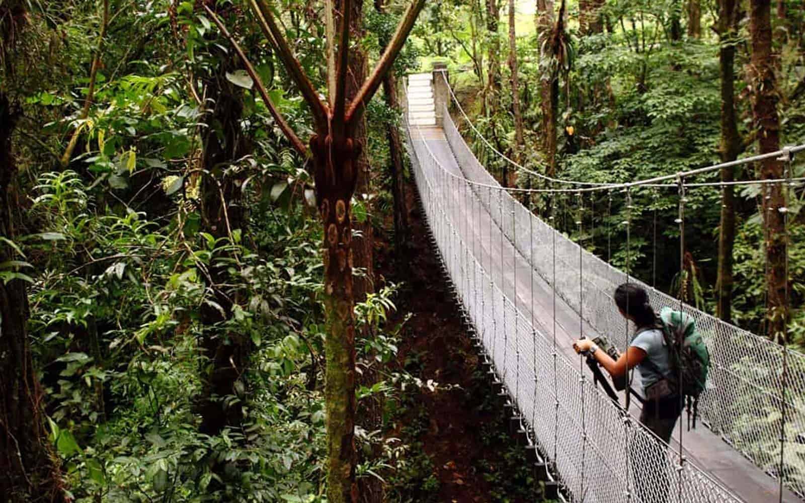 Costa Rica Nature Lovers Tour