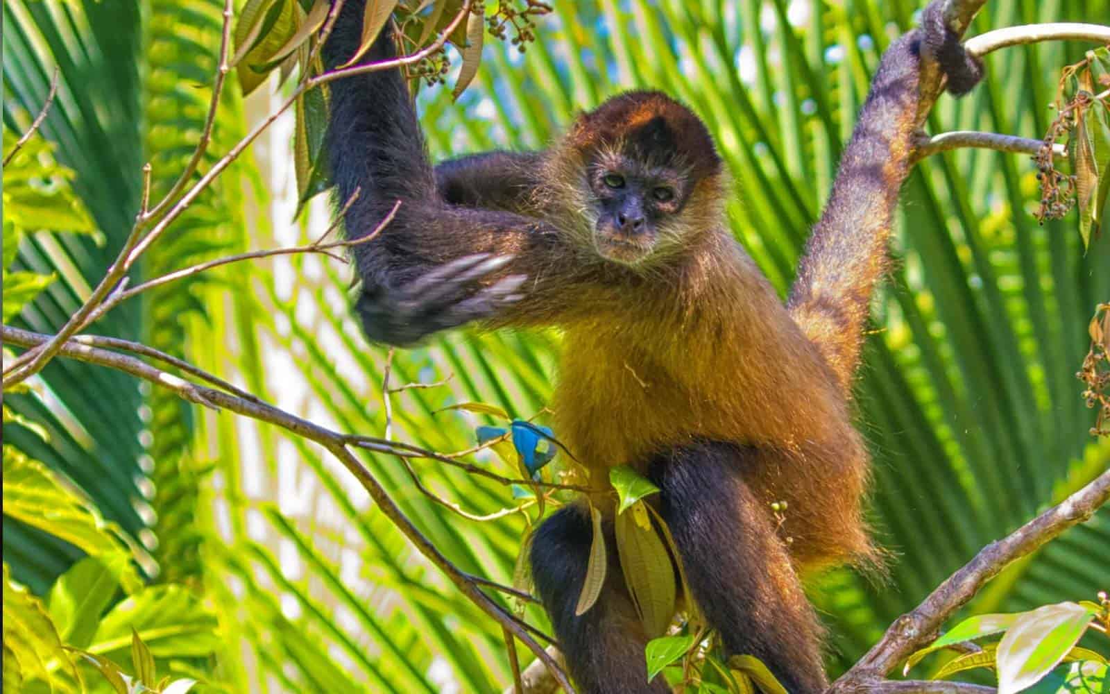 Costa Rica Photography Tour