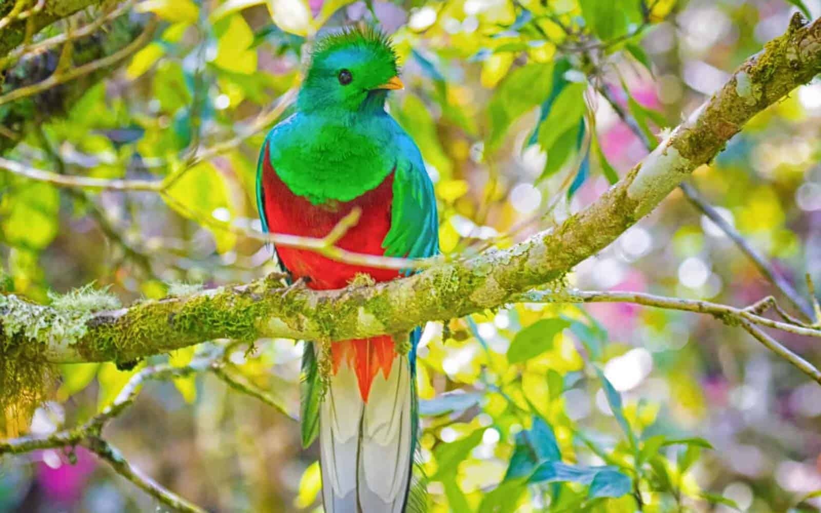 Costa Rica Photography Tour