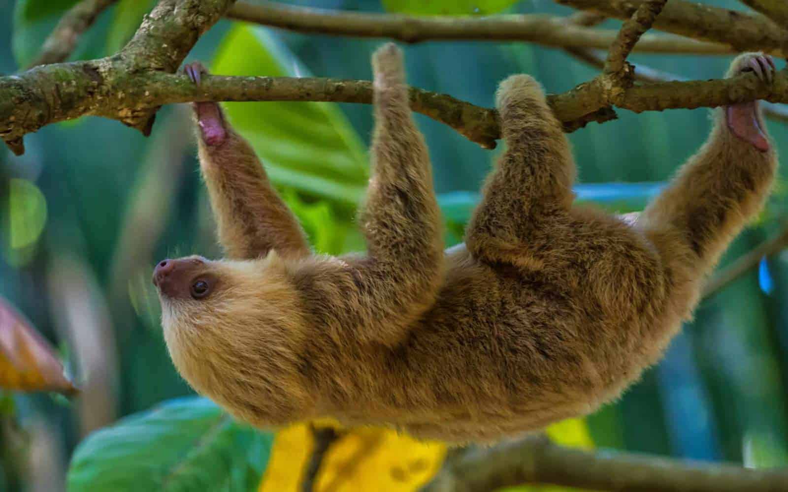 Costa Rica Photography Tour