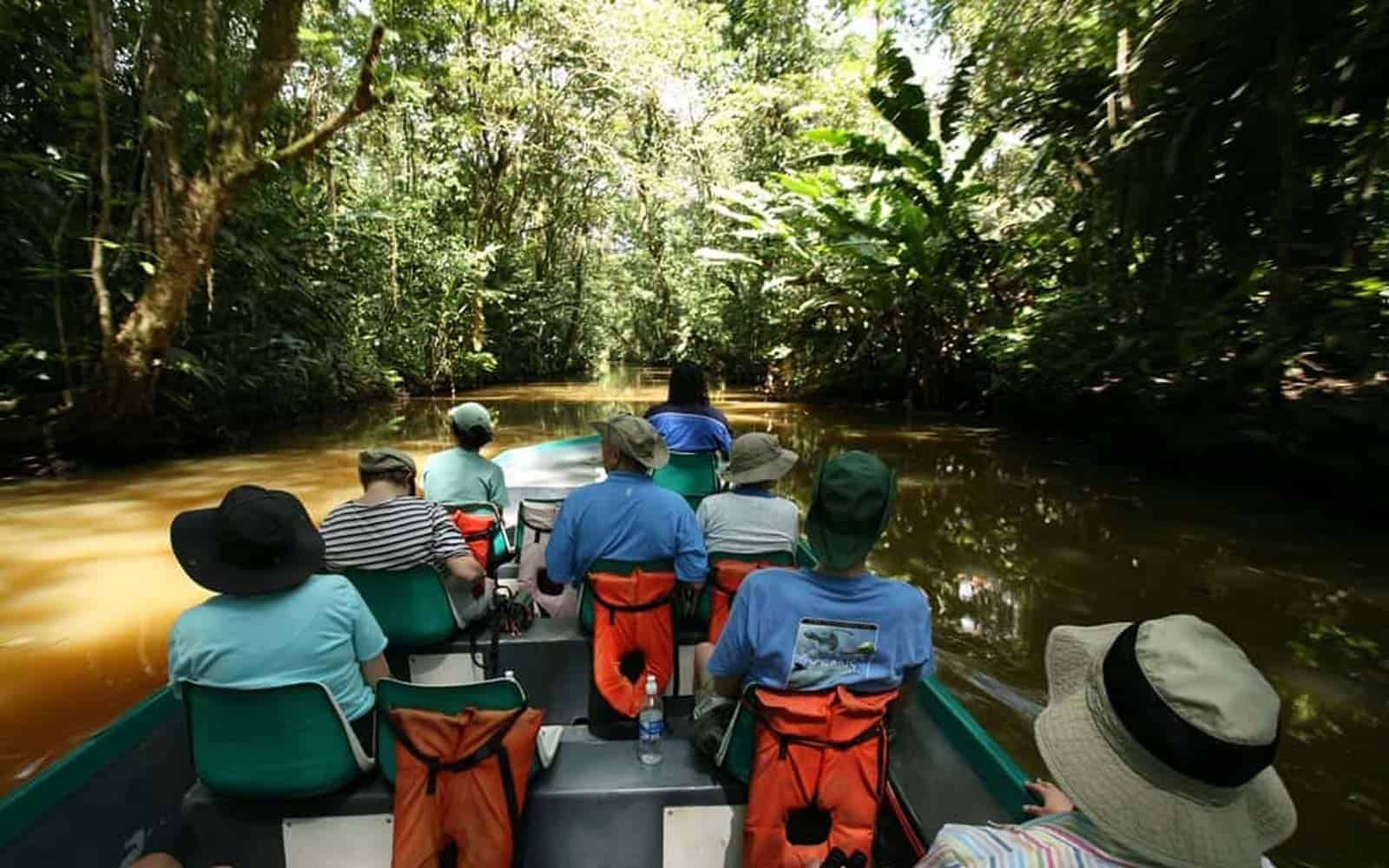 Costa Rica Turtles Whales and Dolphins Tour