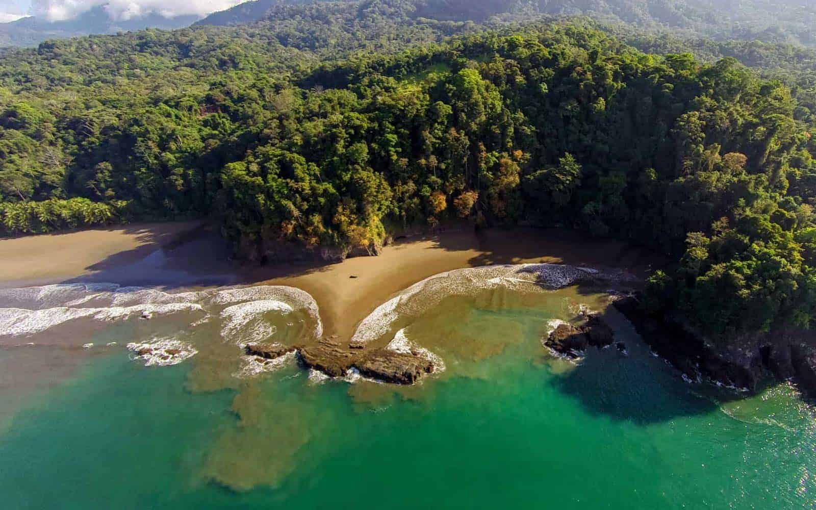 Costa Rica Turtles Whales and Dolphins Tour