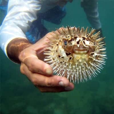 Costa Rica Authentic Adventures