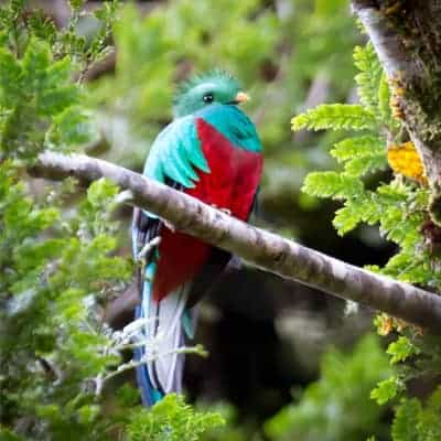 Costa Rica Tours Classic Programs