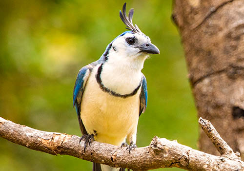 Guanacaste Santa Rosa National Park Adventure