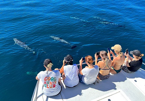 Guanacaste Catamaran Seafari
