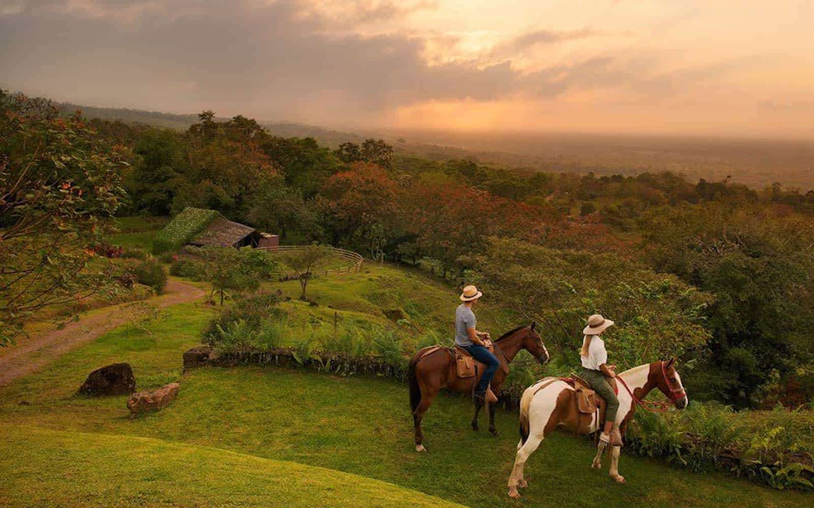 Origins Luxury Lodge
