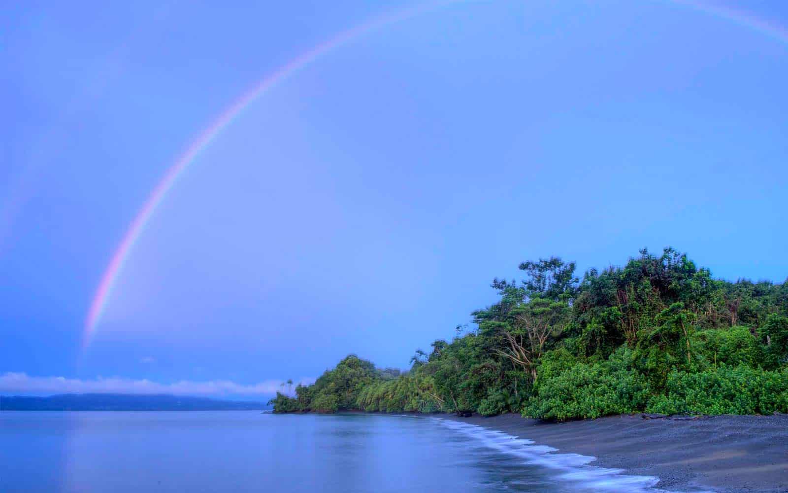 Playa Nicuesa Rainforest Lodge