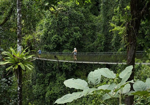 Los Campesinos Reserve