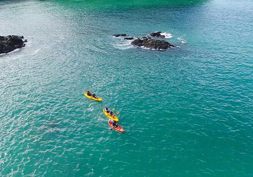 Manuel Antonio Sea Kayak + Snorkel