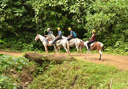 Tocori Waterfall + Horse Riding