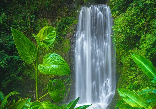 Monteverde El Tigre Waterfalls