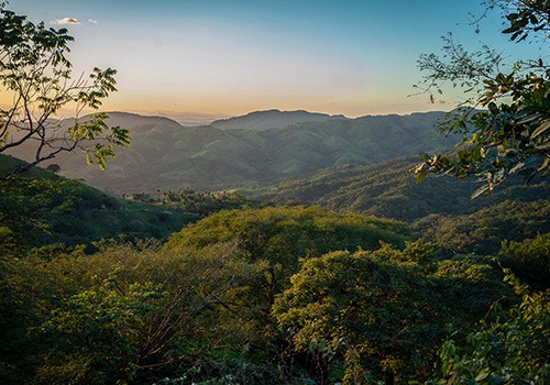 Monteverde Pacific Trail