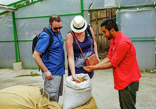 Coffee Tour At Coopedota