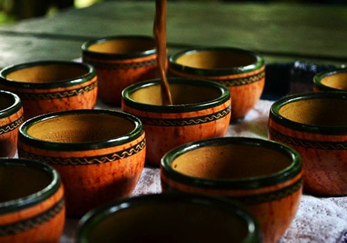 Rainforest Chocolate Tour In Sarapiquí