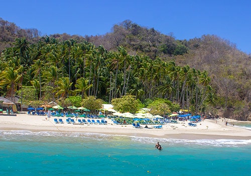 Tortuga Island Cruise