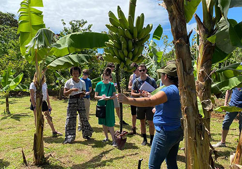 Sarapiquí Banana Tour