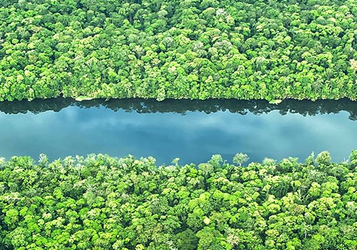 Costa Rica Caribbean Rivers