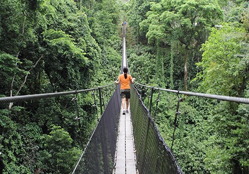 Costa Rica Hanging Bridges